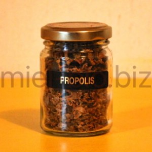 Propolis Brute Bio 40g